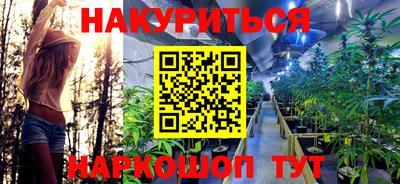 каннабис Новодвинск