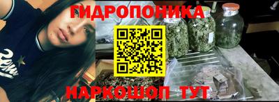 каннабис Новодвинск
