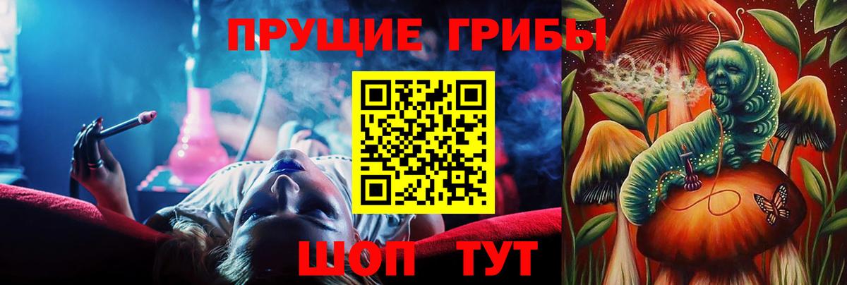 Галлюциногенные грибы Psilocybe  Псилоцибиновые грибы Psilocybine cubensis  Вход с VPN  Севастополь 