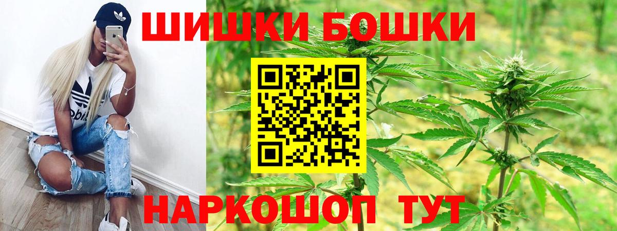 Бошки Шишки план Севастополь